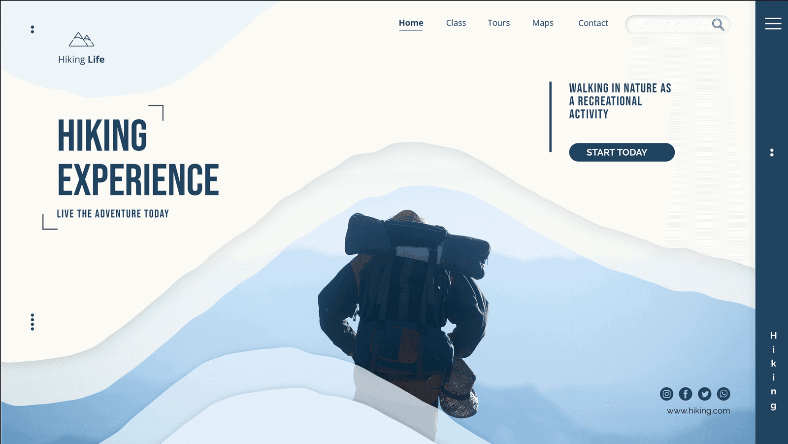 Website Design